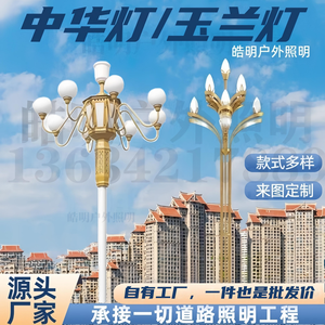 Poste de Luz Solar para Calle, 6, 8, 10, 12 Metros, Metálico, para Iluminación Exterior de Carreteras y Paisajes, 40W, Galvanizado en Caliente - Product Image 4