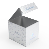 Taille personnalisée 10 pack gros papier cadeau sac fabricants boîtes pour packiging - OEM & ODM accueilli