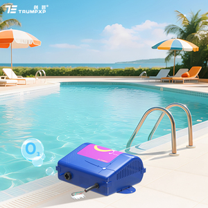 Générateur d'ozone médical TCB-126 pour le <span class=keywords><strong>traitement</strong></span> de l'<span class=keywords><strong>eau</strong></span>, plaque d'ozone 200mg pour piscine <span class=keywords><strong>SPA</strong></span> O3 - Product Image 1