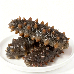 Pepino de Mar Seco Empacado a Granel Listo para Exportar con Alta Calidad - Product Image 1