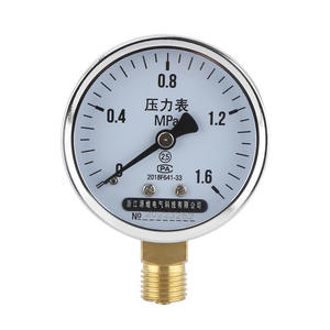 Manómetro de Presión Doméstico Y-60 de 0-1.6 MPa para Calefacción por Suelo Radiante, Protección Contra Incendios, Agua del Grifo, Compresor de Aire - Product Image 1