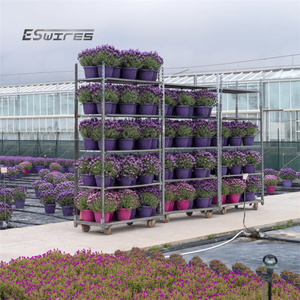 植物苗圃用4轮户外活动滚动运输金属温室花园手推车 - Product Image 5