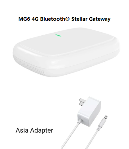 White-Asia Version with Asia Adapter