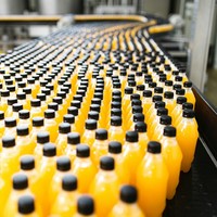 Solution tout-en-un : ligne de remplissage de jus en bouteille de petite taille 8000 BPH, usine complète de fabrication de jus de fruits pour 500 ml