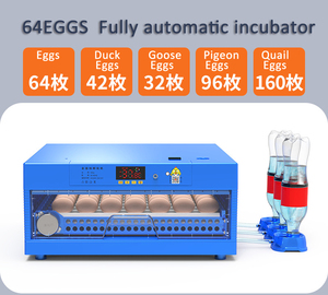 Incubateur d'oeufs <span class=keywords><strong>de</strong></span> <span class=keywords><strong>canard</strong></span> pour couver des cailles avec certificat CE - Product Image 4
