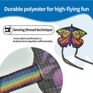 Tùy Chỉnh Bán Buôn Cho Trẻ Em Bướm Kim Cương Diều Một Chìa Khóa Mở Không Có Lắp Ráp Diều, Đáng Yêu Cho Bay - Product Image 3