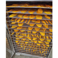 Commerciële voedseldroger voor fruit en groenten, dehydrator voor bananenchips, mango's en groenten.
