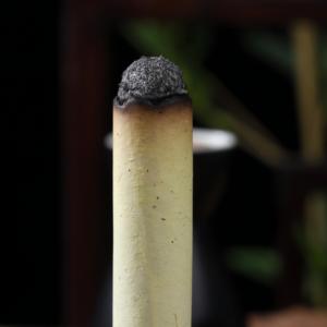 Moxa Sticks Moxa Roll Source Factory Direkt Großhandel Moxa Sticks für die Körperpflege Wild Moxa zur Herstellung von Moxa Sticks - Product Image 4