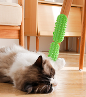 2025 vente chaude chat chatouiller Massage Silicone chatouiller Table jambes sangles peignage cheveux