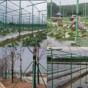 Tuyaux en fibre de verre légers et de haute qualité, adaptés à la construction de serres de support pour fruits de la passion - Product Image 6