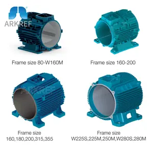 Энергосберегающий высококачественный трехфазный двигатель низкого напряжения серии W20 для электротранспортного двигателя