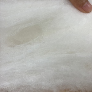 OEKO-TEX STANDARD 100 Super Soft Lyocell Tencel Real Silk Fiber Remplissage pour les doublures de matelas haut de gamme et les pantalons en coton <span class=keywords><strong>thermique</strong></span> - Product Image 6