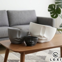 Pot de fleurs en céramique moderne abstrait en forme de visage humain avec finition mate, parfait pour les succulentes, les cactus ou les petites plantes d'intérieur sur étagère ou fenêtre