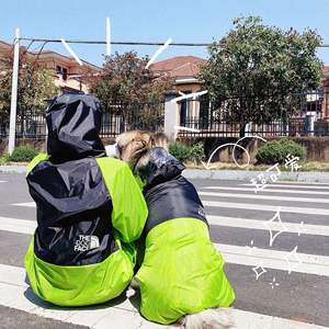 2025 humain et <span class=keywords><strong>chien</strong></span> imperméable famille Look animal de compagnie tissu populaire mode vêtements de plein air moto correspondant propriétaire vêtements tenue - Product Image 4