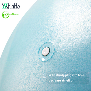 Pelota de Ejercicio Zhensheng 2024, Nuevo Diseño, Promoción de Marca, Pelota de Yoga para Gimnasio en Casa, Pelota Suiza con Bomba de 9 Pulgadas - Product Image 3