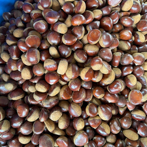 Castagne Fresche di Alta Qualità in Offerta, Ricche di Proteine e Fibre, Ideali per Snack e Cucina - Product Image 1