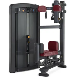 Rt. Ls21 Hoogwaardige Fitnessapparatuur Body Trainingspin Geladen Sterkte Machine Torso Rotatie