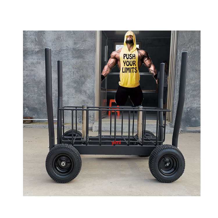 sleds with wheels Fun and Fitness for Kids and Adults