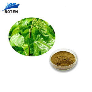 工場価格<span class=keywords><strong>Morus</strong></span> <span class=keywords><strong>Alba</strong></span> L. 天然DNJ桑葉エキスエキス - Product Image 1