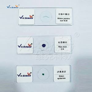Portaobjetos de Botánica, Portaobjetos de Biología, Portaobjetos de <span class=keywords><strong>Microscopio</strong></span> de Botánica, Epidermis de Bulbo de <span class=keywords><strong>Cebolla</strong></span> - Product Image 4
