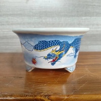 Pot de bonsaï assombri à la main avec pot de dragon rond de dragon
