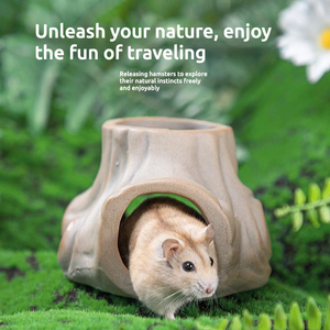 <span class=keywords><strong>Tao</strong></span> Fashion Natural Ceramic Fun Cooling Universal Hamster Shelter - Product Image 2
