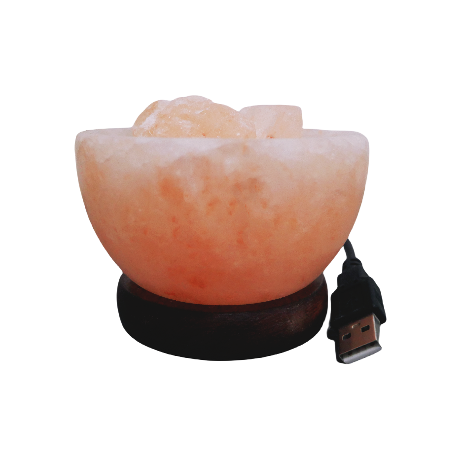 Bol de feu de lampe de sel usb himalayen