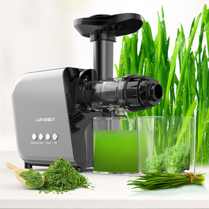 CE Certified BP-800 Cold Press Slow Juicer Adjustable Settings Speed Equipment Juicer - Product Image 1