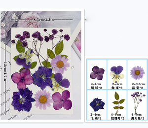 Gepresste Blumen für Harz-Lesezeichen Rahmen-Mixpacks DIY Kunsthandwerk Natürliche Pflanzen Umweltfreundlich - Product Image 5