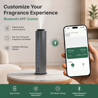 Diffuseur d'huiles essentielles sans eau avec logo personnalisé OEM, utilisation hôtelière, commande intelligente, machine à parfum rechargeable, capacité de 100 ml