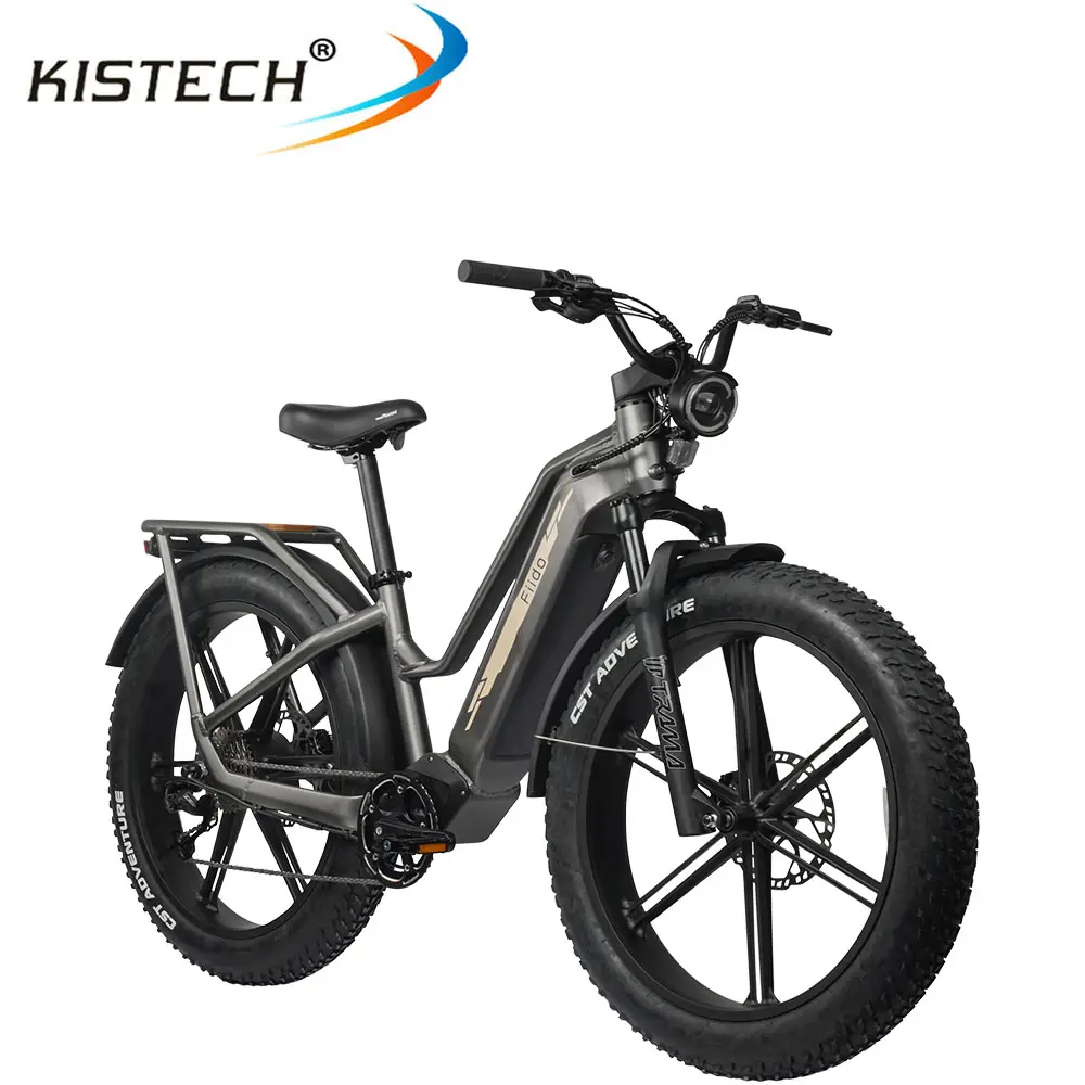 Fiido Titan M25 Ebike 26Inch Lốp 48V 14.5ah Pin 750W Động Cơ Hàng Hóa Xe Đạp Điện Với Mô-men Xoắn Cảm Biến