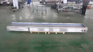 Mesh Belt Conveyor For SS Conveyor