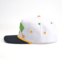 Casquette de baseball bicolore personnalisée avec broderie 3D, casquette de baseball pour hommes, vente en gros, casquette de baseball à 5 panneaux, casquettes à cordon avec logo personnalisé