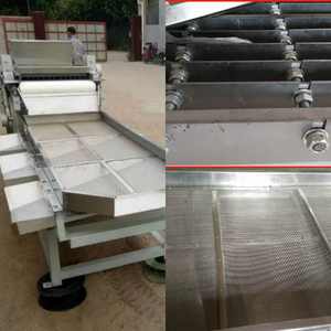 Máquina Cortadora de Piñones y Almendras Automática en Oferta, Máquina Eléctrica Industrial para Anacardos Crudos de Alta Calidad - Product Image 2