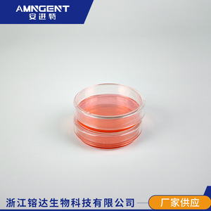 Placas de Petri Angentech de 60 mm, 90 mm y 150 mm, Desechables, Estériles, Transparentes, para Uso en Laboratorio - Product Image 4