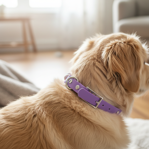 <span class=keywords><strong>Collar</strong></span> de Perro de Silicona Ajustable con Cuentas Personalizadas, Estilo de Dibujos Animados, Duradero y Personalizable, Resistente al Agua, <span class=keywords><strong>2026</strong></span> - Product Image 6