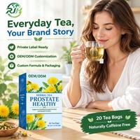 Thé aux herbes pour la santé de la prostate, marque privée, favorise la fonction prostatique et sexuelle, complément naturel pour la prostate