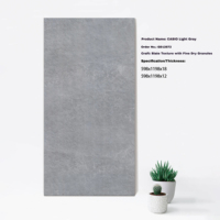 Finition mate Céramique résistante à la chaleur Antidérapant Aspect béton rustique 20mm Pierre Porcelaine Carrelage extérieur pour allée