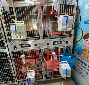 ปั๊มแช่สัตวแพทย์สำหรับสุนัขใช้ในบ้านแบบพกพาใช้ซ้ำได้สะดวกสำหรับเจ้าของ - Product Image 6