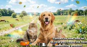 Offre Spéciale – Supplément Liquide d'Huile de Noix pour Animaux de Compagnie (OEM) – Soutien Immunitaire – Nutrition Entièrement Naturelle pour Chiens et Chats avec Oméga-3 et Oméga-6 - Product Image 6
