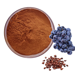 สารสกัดจากเมล็ดองุ่น95% OPC 95% proanthocyanidins - Product Image 1