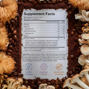 Melena de León de alta calidad, soporte de memoria y enfoque, polvo de café de setas, Reishi Shiitake natural, proporciona energía, café de setas - Product Image 2