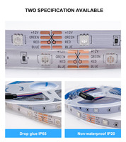 En stock Bande LED flexible PVC RGB SMD5050 5V avec adhésif, connectivité USB, indice de protection IP20, dimmable