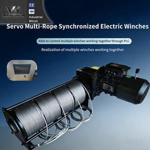 כננת חשמלית לבמה 220v, כננת חשמלית לתכנות PLC לבידור, כננת חשמלית עם מקודד ומגביל - Product Image 2