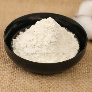 Produttore professionale puro naturale aglio organico in polvere economico sapore originale condimenti condimento a prezzi accessibili Dasuan - Product Image 2