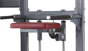 Machine d'assistance pour dips et tractions robuste, équipement de fitness commercial, fabricant d'équipements de gym personnalisés OEM - Product Image 2