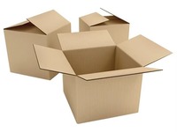 Boîte en carton ordinaire pour l'expédition
