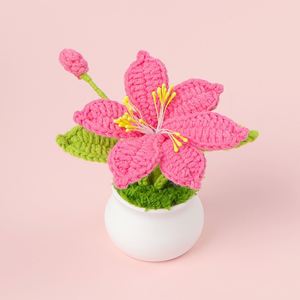 Maceta de Lirios de Ganchillo Hechos a Mano, Mini Plantas de Hilo Tejidas, Decoración de Escritorio para Navidad, Pascua, Halloween - Product Image 4