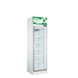 वाणिज्यिक फ्रिज ग्लास दरवाजा पेप्सी Displsy रेफ्रिजरेटर के लिए दुकान विक्रेता पेय प्रदर्शन