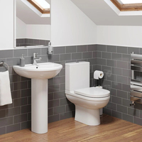 Meilleur confort Commode en porcelaine à chasse directe Bol en céramique Ensemble de toilette Vente directe Articles sanitaires Salles de bains Designs P-Trap Drainage